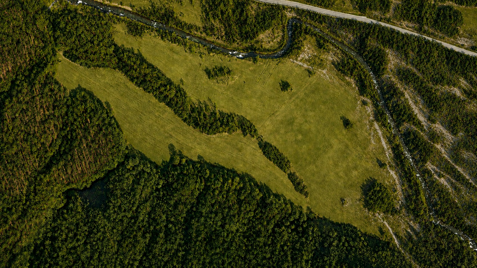 Aerial of the Sakvire land, golden light over the Algeti-highland forest